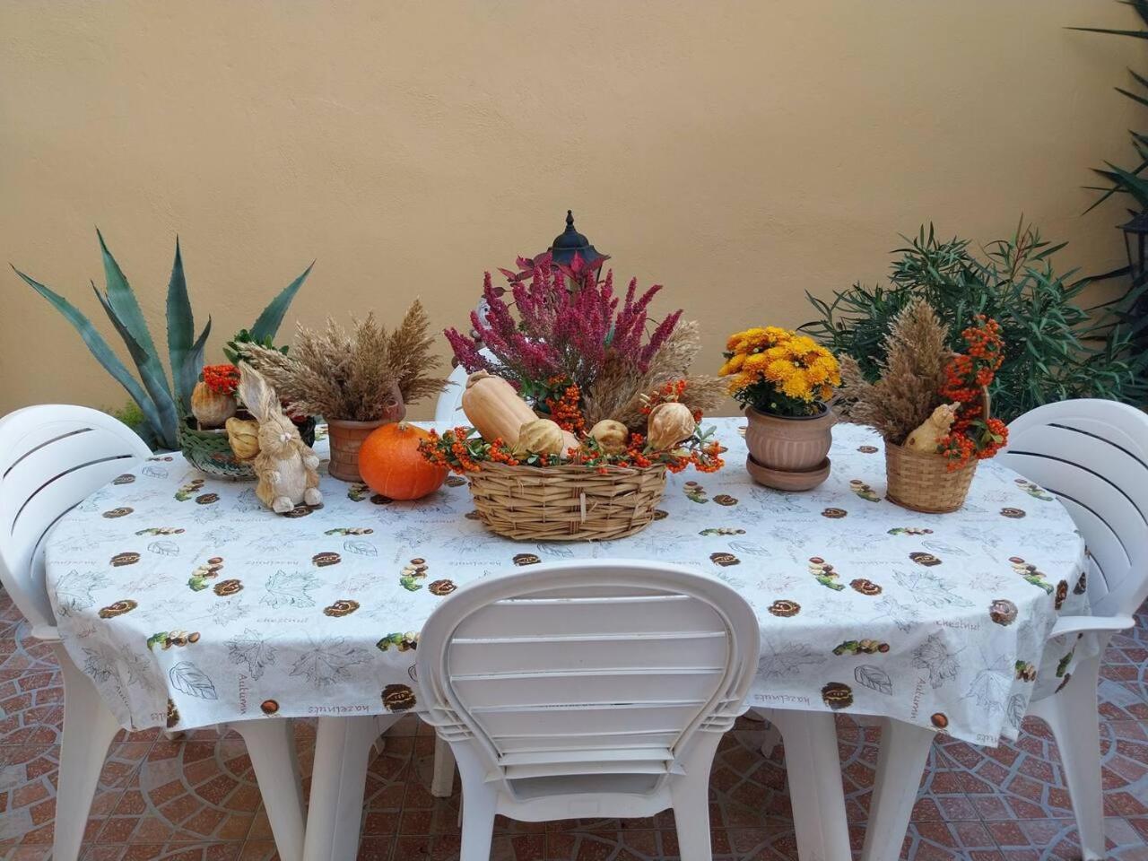 Il Giardino Di Marimar公寓 外观 照片