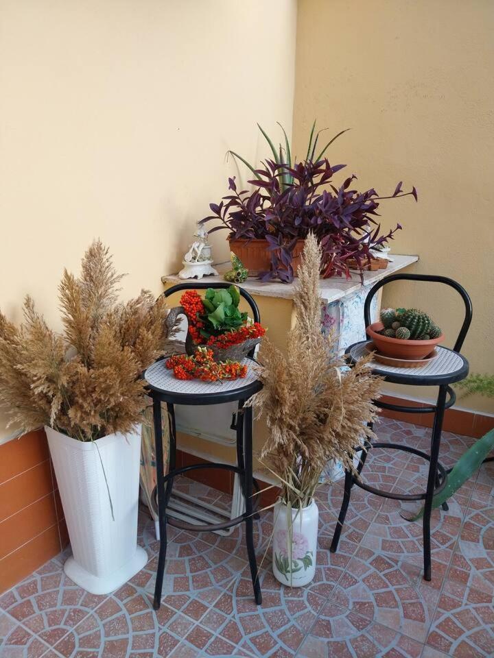 Il Giardino Di Marimar公寓 外观 照片